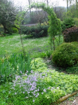 jacinthes sauvages,adjuga,phlox divaricata,pensée,muscari,iris