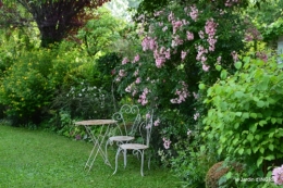 potager,chenille,pour le 18 juin,tour du jardin 074.JPG