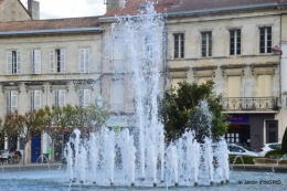 Julie,Lalinde,Cygnes,Roses,Osier à Monbazillac 100.JPG