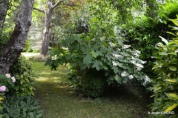 potager,chenille,pour le 18 juin,tour du jardin 061.JPG