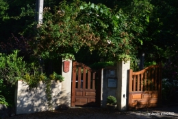 potager,chenille,pour le 18 juin,tour du jardin 095.JPG