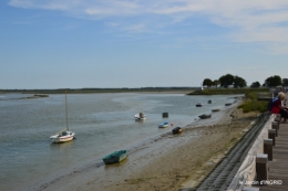 la baie de Somme 065.JPG