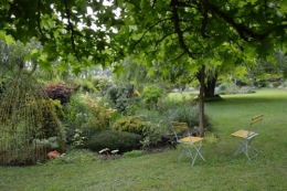 tour du jardin en juin 115.JPG