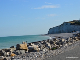 la baie de Somme 012.JPG