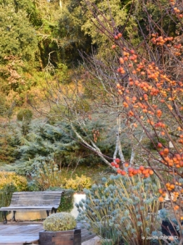 jardin givré,taille de prunus 046.JPG