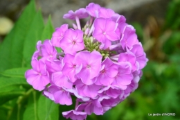 tour de France,jardinde Mme Peyrichou 018.JPG