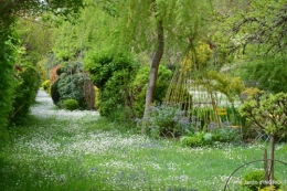 jardin printemps 111.JPG