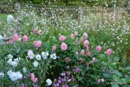jardin Mme Perichou,grandes fleurs,bouquet,jardin 031.JPG