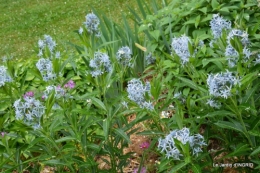 maison,jardin Bernadette,et jardin Claudine 052.JPG