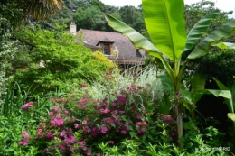 potager,chenille,pour le 18 juin,tour du jardin 039.JPG