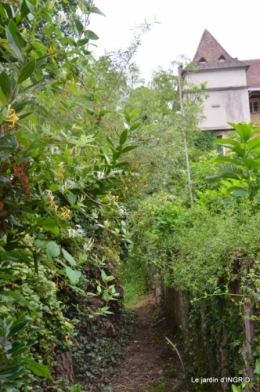 sentier des cygnes,hémérocalles,bouquet,jardin 108.JPG