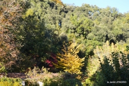 jardin automne,voisinage,canal 183.JPG