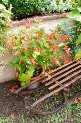 tableau,jardin,centre de table,les bégos,Cadouin,DALY,Mouleydier 111.JPG