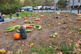 canoes,Combarel,canal automne,Issigeac,décos couronne,citrouille 153.JPG