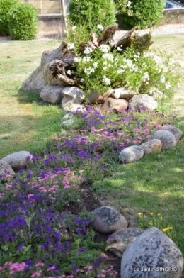 jardin,les filles,gerbera,Lalinde 151.JPG