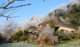 givre,maison,oiseaux 100.JPG