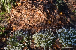 jardin, feuilles,sauges,gloriette,land art 074.JPG