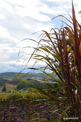 cornouiller,Limeuil,Campagne, 119.JPG