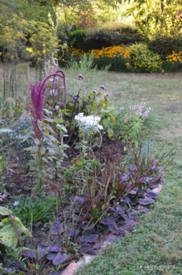 mon coin,Monique,les oies,mon jardin 008.JPG