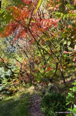 rhus,colline,buis taillé,noix,manthe religieuse,bouquet 065.JPG