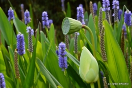 les jardins d'eau de Carsac 054.JPG