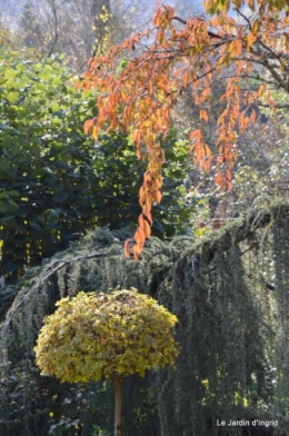 première gelée,land art du noyer 052.JPG