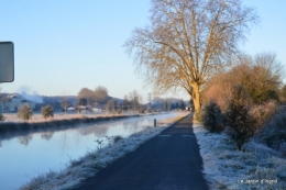 givre,maison,oiseaux 038.JPG