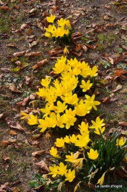 jardin début d'automne ,Sophie,rouge 060.JPG