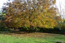 les arbres en automne,cabane 124.JPG