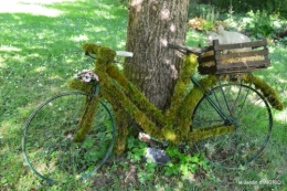 Tour du jardin mai avant et apres tonte 061.JPG