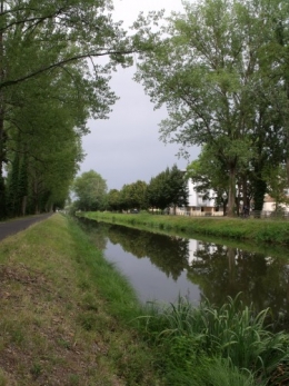 canal,lythum,berce,filipendule