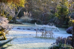 givre,jardin,bouquet 037-001.JPG