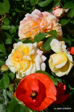 fête de la fraise Vergt,roses jardin 074.JPG