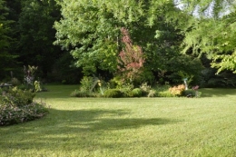 jardin,premières roses,colline,avant l'orage 118.JPG