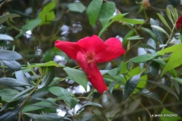 la Roque Gageac,Ines,jardin 074.JPG