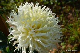 dahlias,jardin,puces st Avit Seigneur,Paniers Issigeac,Romane 055.JPG