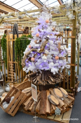 première gelée,décos Noel Jardiland Proflora 110.JPG