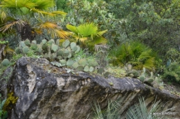 la Roque Gageac,Ines,jardin 088.JPG