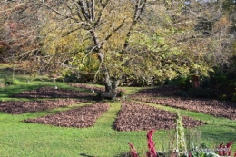 jardin, feuilles,sauges,gloriette,land art 099.JPG