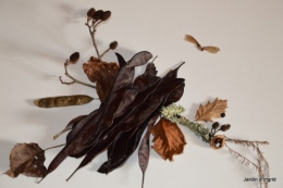 matin d'hiver,tableaux de fleurs janvier 056.JPG