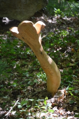 manthe religieuse,Lalinde marché,Land art au Colombier 084.JPG