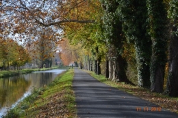 le canal,le banc