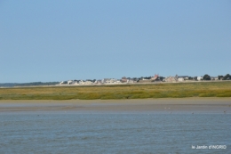 la baie de Somme 064.JPG