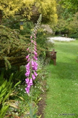 mai au jardin,les filles 051.JPG