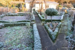 givre,maison,oiseaux 034.JPG