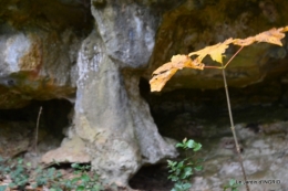 colline,crèche,taille 034.JPG