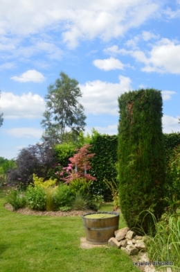 inondation,jardin,oeufs cygnes,chez Nathalie 096.JPG