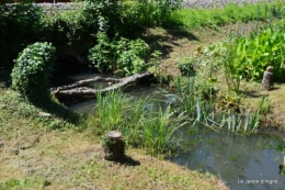 chez Fabien,le canal,jardin,hémérocalles,le souci,potager 160.JPG