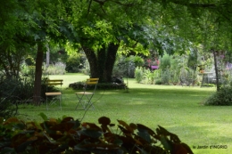 potager,chenille,pour le 18 juin,tour du jardin 058.JPG