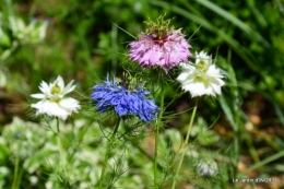 roses,marguerites,MOI,fêtes des mères avec les enfants 026.JPG